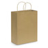 A large brown paper carry bag with two handles.