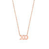 2 Initials XO Necklace 14K Rose Gold