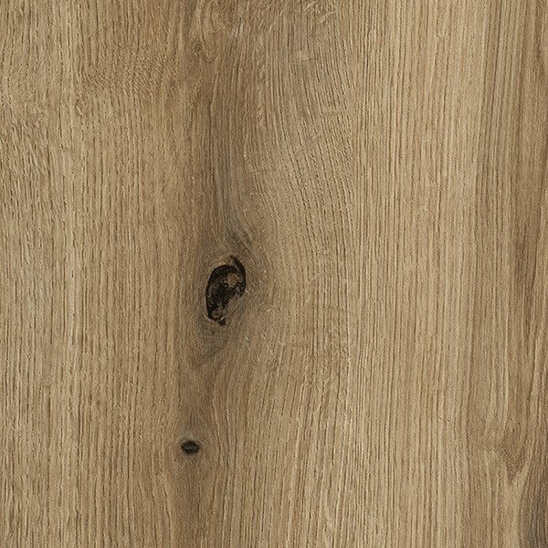 Coast Evoke Oak K365 PW 18mm melamine-faced chipboard