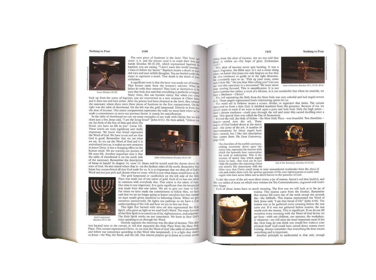 KJV Bible - Platinum Edition Remnant Study Bible - Genuine Leather