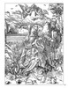 Albrecht Durer Colouring Book - Pack of 1