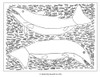 Inuit Art from Cape Dorset Colouring Book - Pack of 1