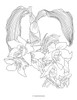 Orchids & Roses Colouring Book - Pack of 1