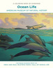 Ocean Life Dioramas Colouring Book - Pack of 1