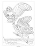 Owls Colouring Book - Pack of 1