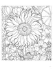 Rosalind Wise: Flower Cycle Colouring Book - Pack of 1