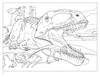 Dinosaurs Colouring Book - Pack of 1