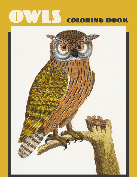 Owls Colouring Book - Pack of 1