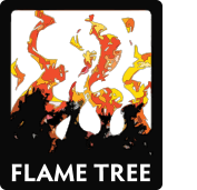 FLAME TREE STUDIO