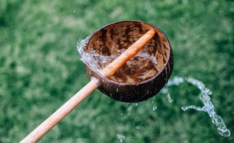 Qtoys Coconut Water Scoop