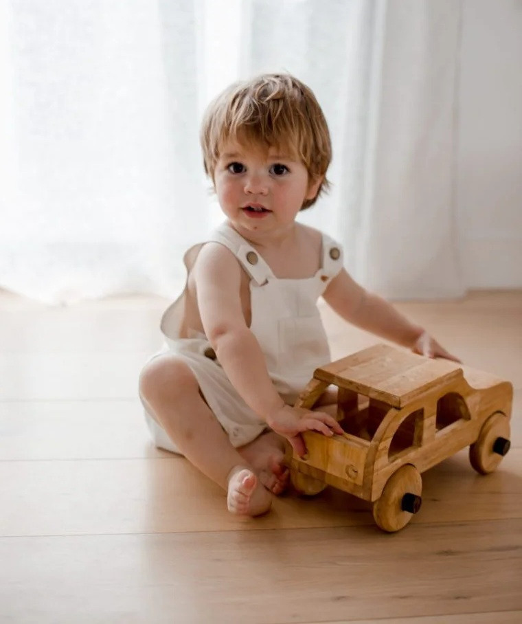 Natural Wooden Car