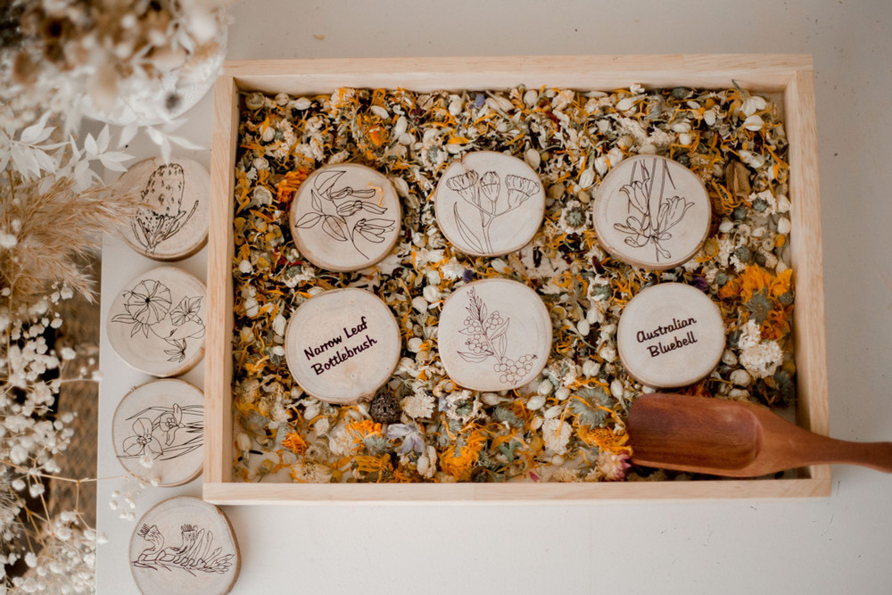 autralian flora set of wooden discs