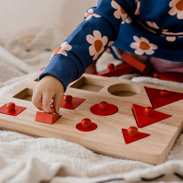Qtoys Knob Shape Montessori Puzzle