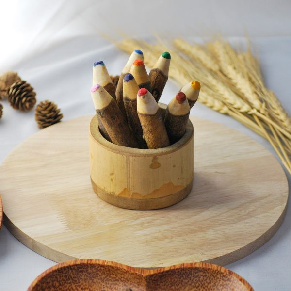Qtoys Tree colour pencil set2