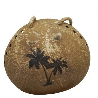 Coconut Bird Feeder