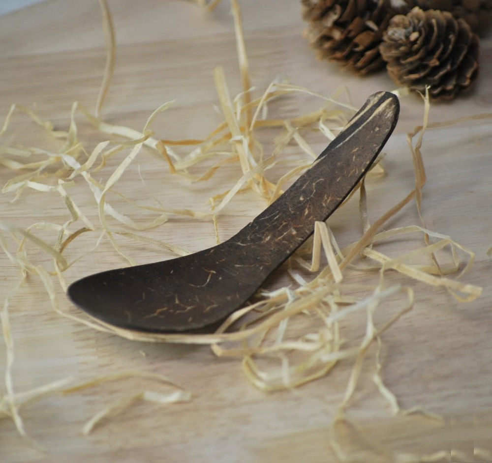Qtoys coconut fruit spoon
