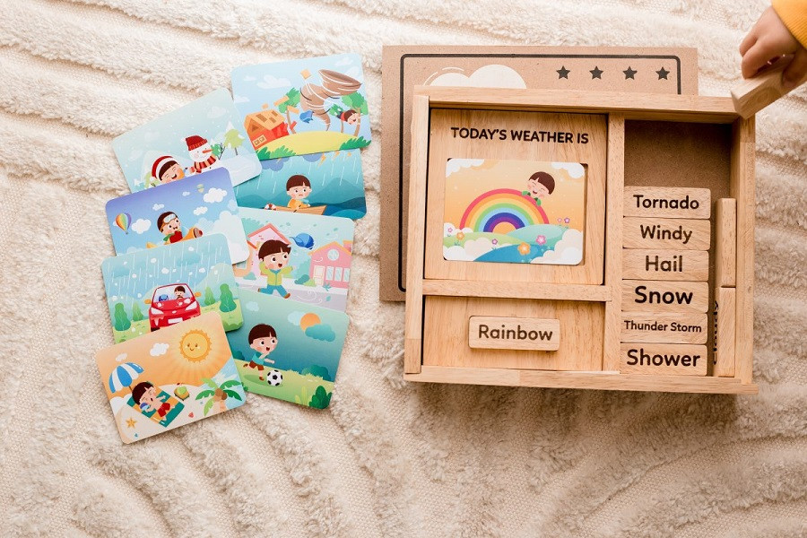 Qtoys Weather Learning Play Set