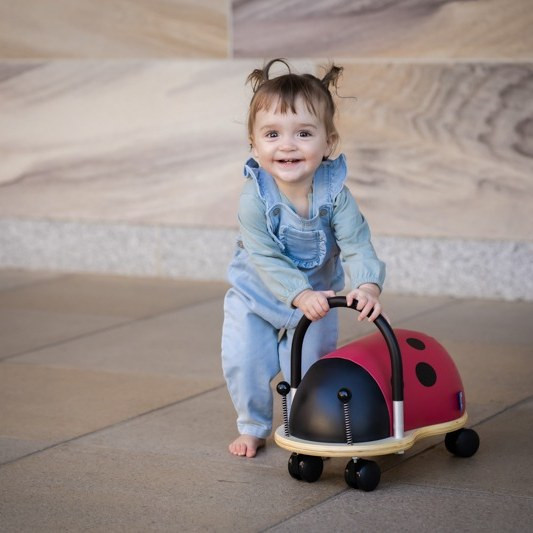 Wheely Bug Ladybug Small - image 13