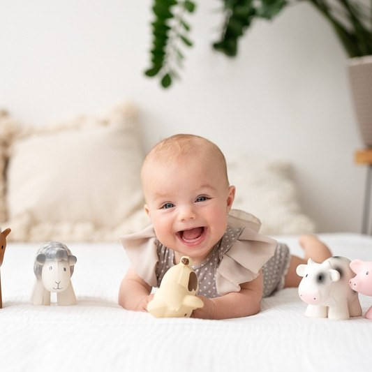 Tikiri Farm Animal Toy Set - image 7