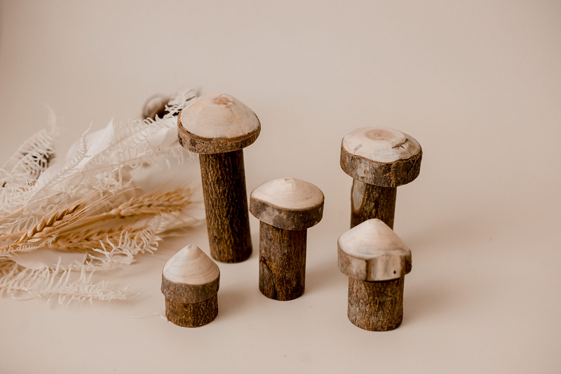 Tree Mushroom Set