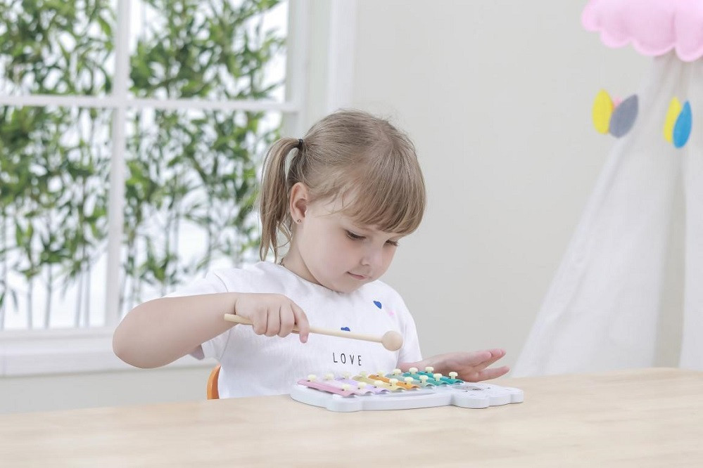PolarB Xylophone in use