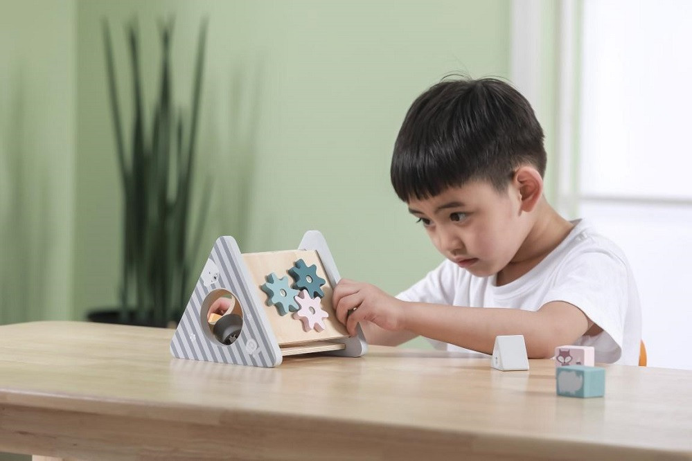 PolarB Shape Sorter & Gear in play