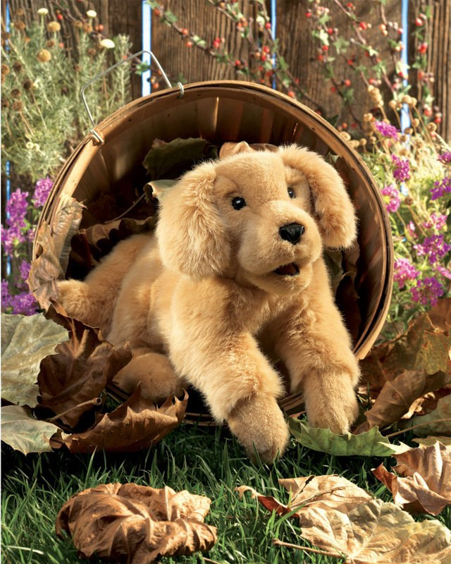 Folkmanis Golden Retriever Puppy Puppet - image 4