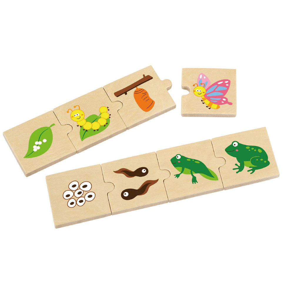 Viga life cycle wooden puzzle