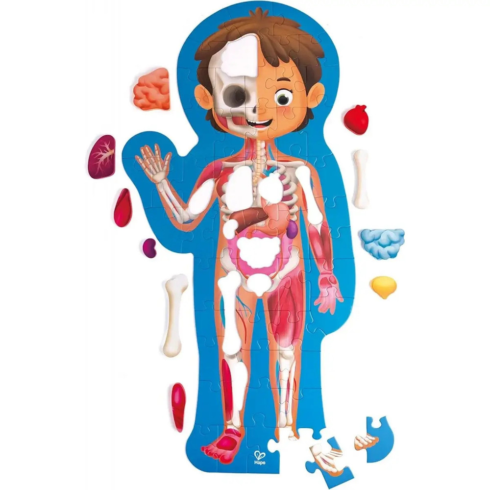 Hape Human Body Life Size Puzzle