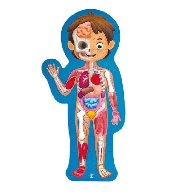 hape human body puzzle