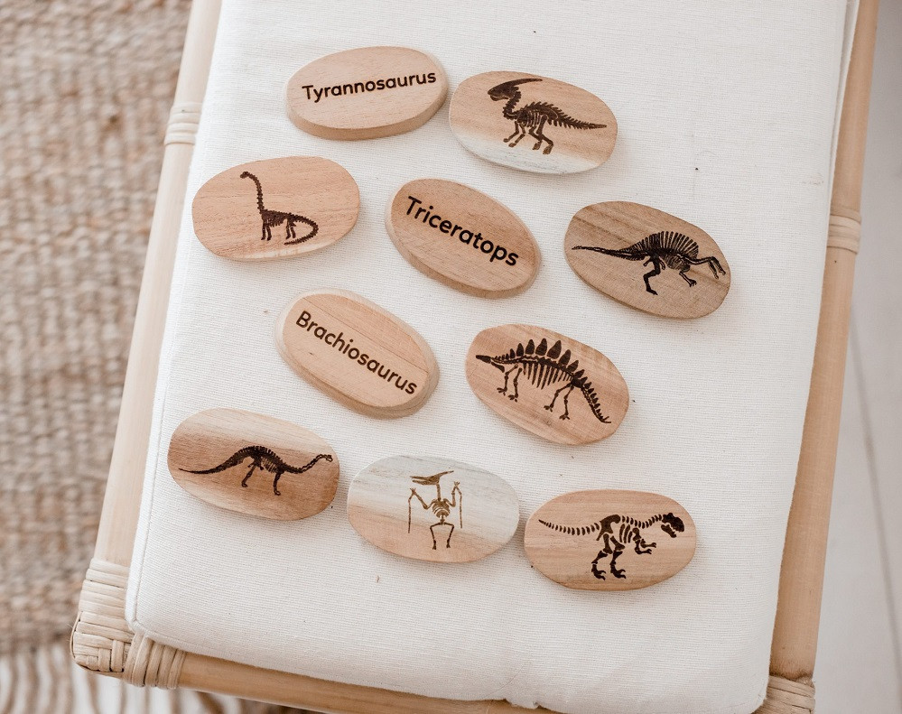 qtoys dinosaur set of stones