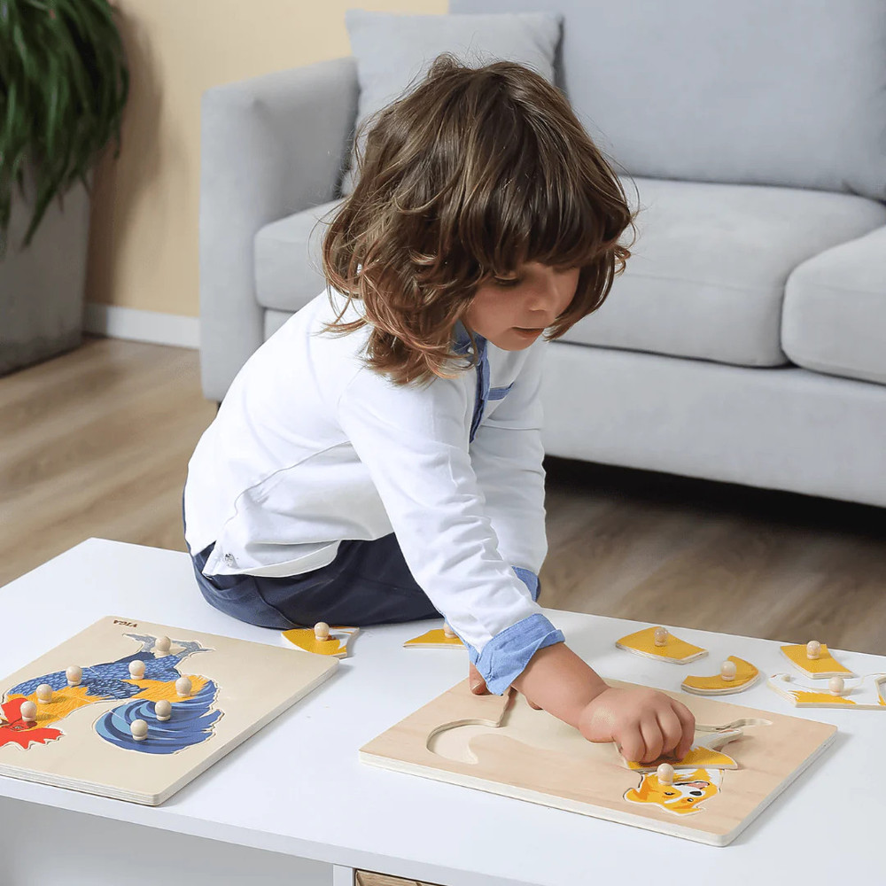 boy playing with wooden montessori dog peg puzzle