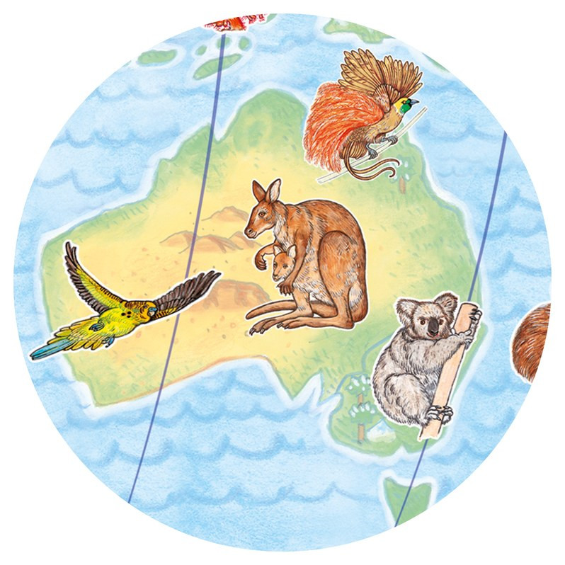 Djeco World Animals 100pc Observation Puzzle - image 7