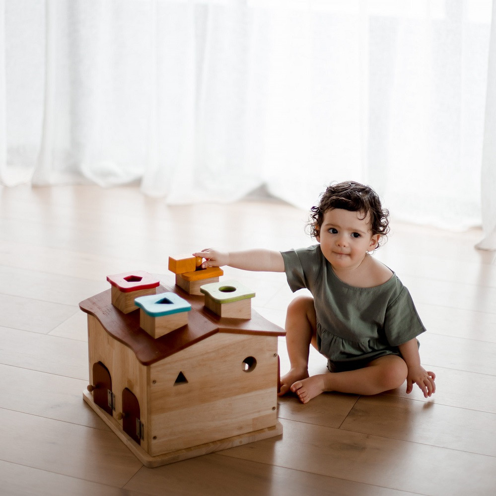 Qtoys Sorting Cottage & Play House with toddler
