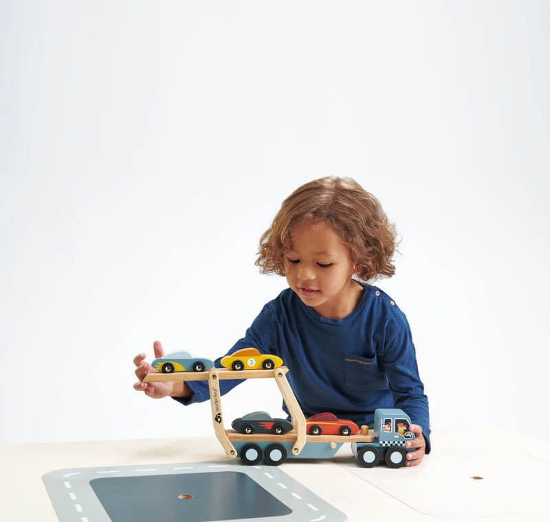 Tender Leaf Car Transporter 3