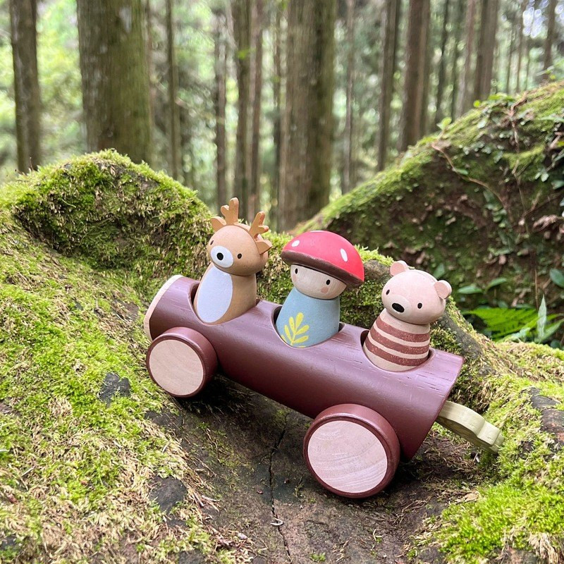 Tenderleaf Timber Taxi - image 7