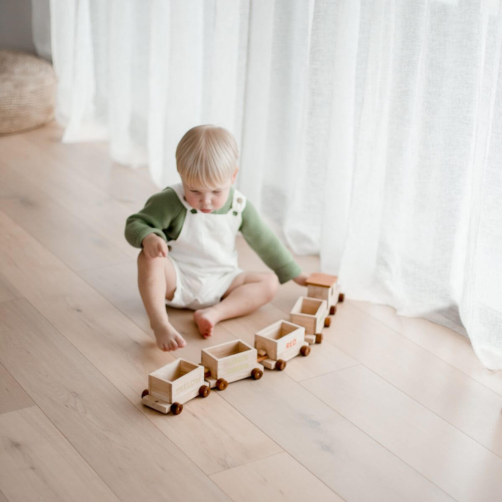 Qtoys Sorting Train 1