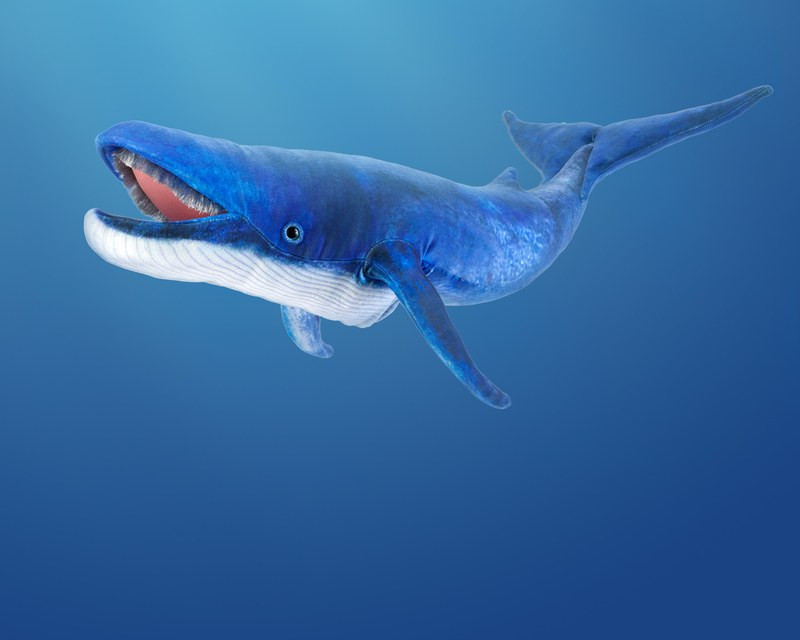 Folkmanis Blue Whale Puppet - image 4