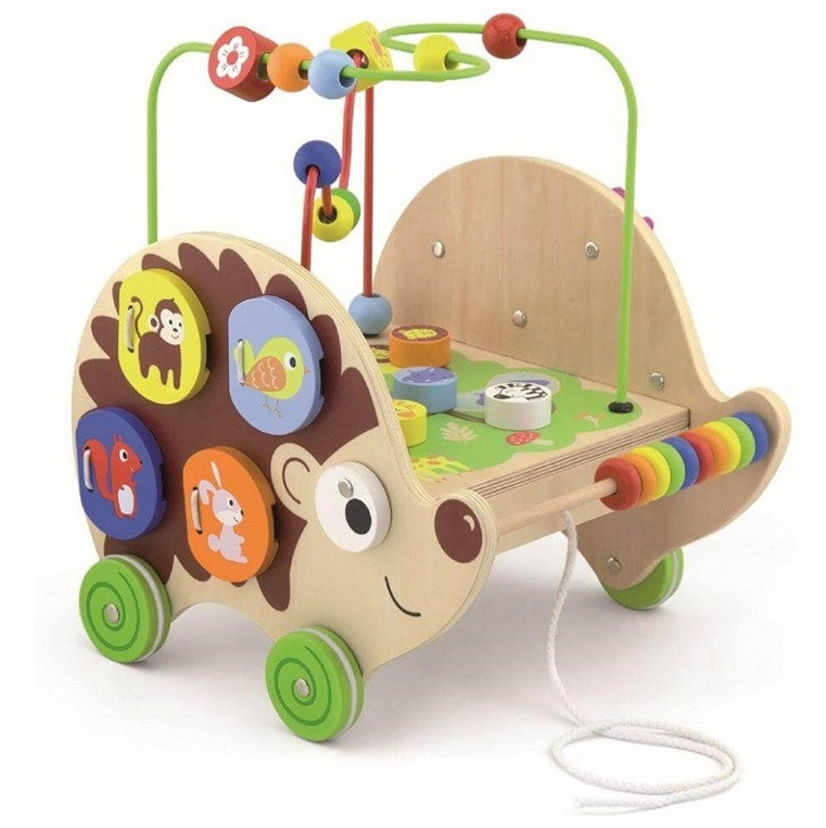 Viga 5-in-1 Pull Along Activity Hedgehog