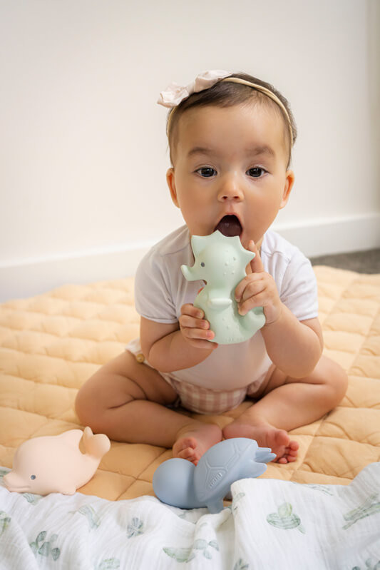 Tikiri Rubber Ocean Buddies Marshmallow Set 1