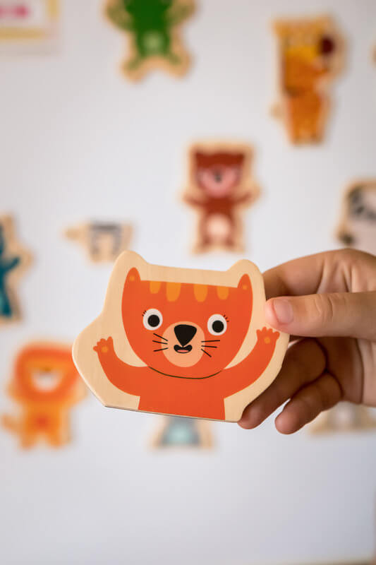 Djeco Wooden Magnetic Jungle Set piecce