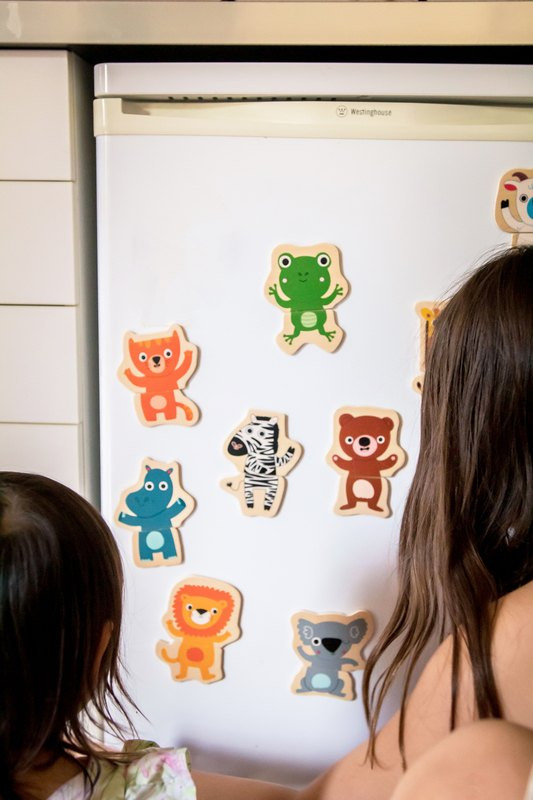 Djeco Wooden Magnetic Jungle Set - image 7