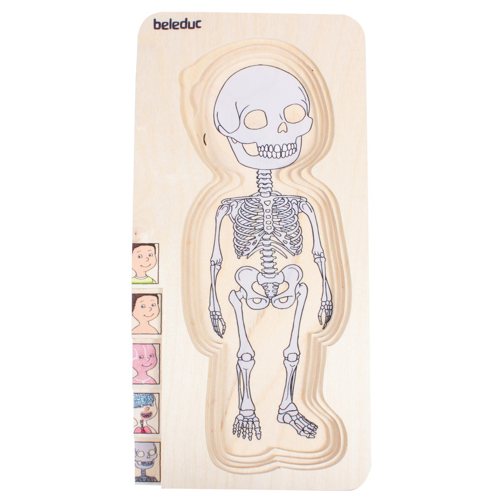 Beleduc My Body Boy - Anatomy Puzzle - image 15