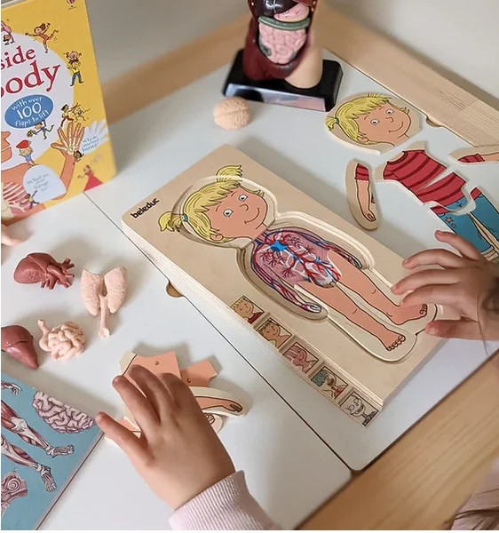 kids anatomy puzzle