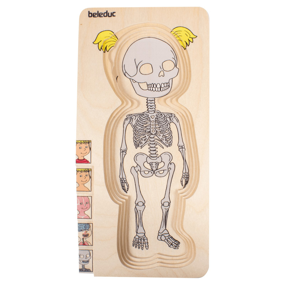 Beleduc My Body Girl - Anatomy Puzzle - image 12