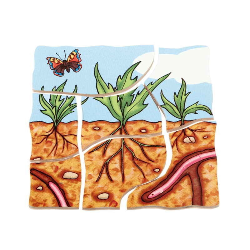Beleduc Multilayer Puzzle - Carrot 3