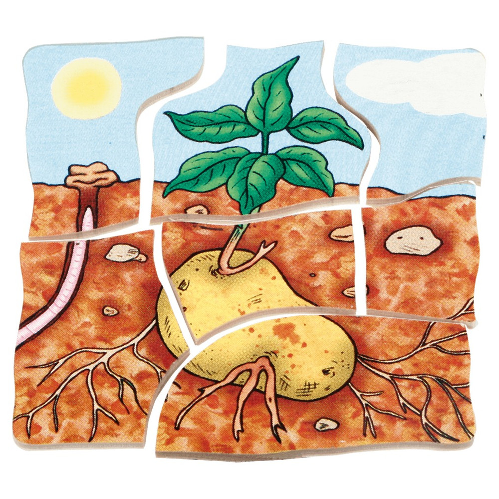 Beleduc Multilayer Puzzles - Potato - image 7