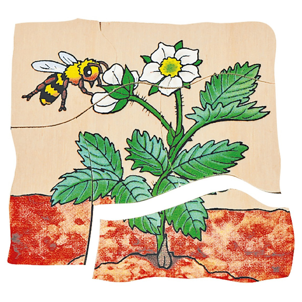 Beleduc Multilayer Puzzles - Strawberry - image 6