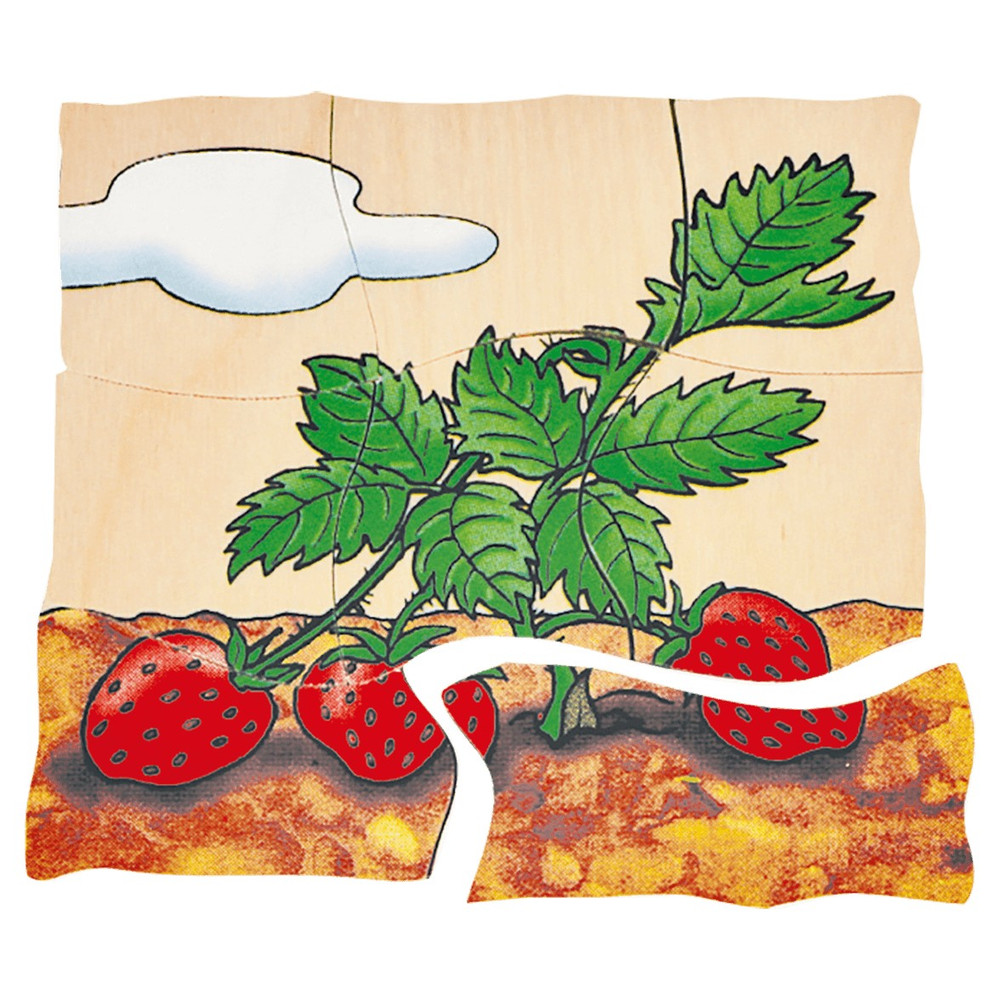 Beleduc Multilayer Puzzles - Strawberry - image 7