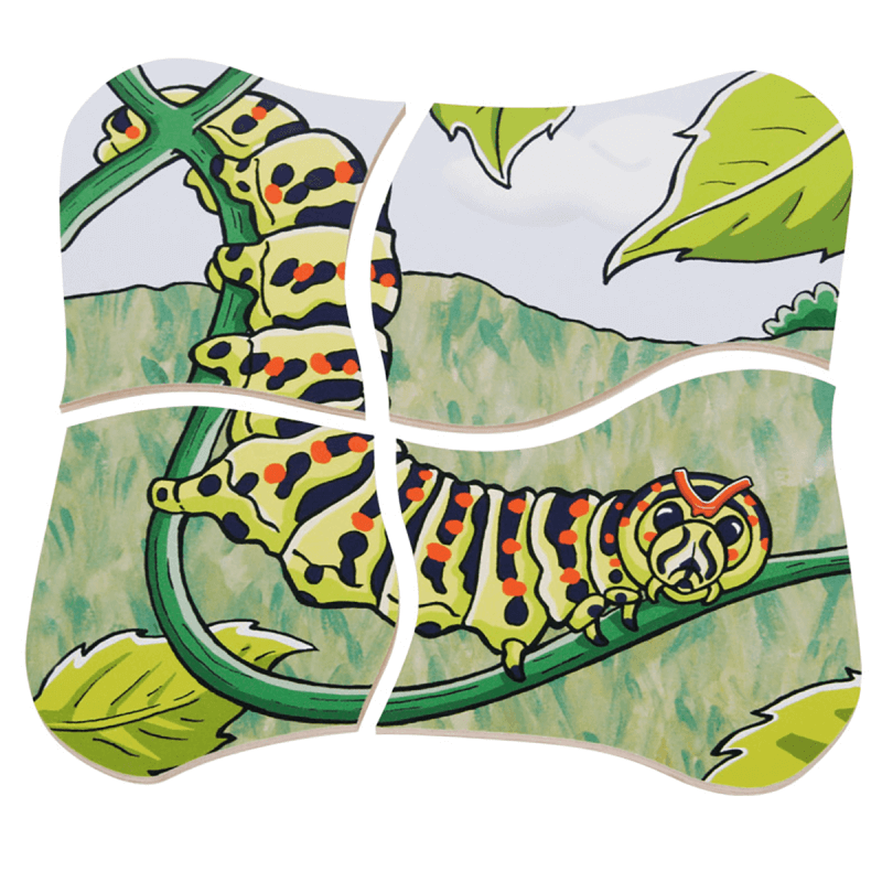 Beleduc Multilayer Puzzle - Life Courses - Butterfly 5